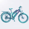 high end double battery mountain ebike electric fat bike